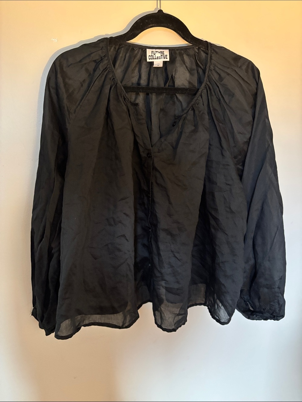 The Future Collective Black Sheer Long-Sleeve Blouse